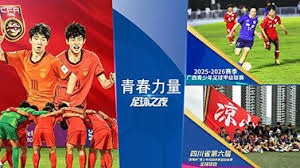 捷克与南非世界杯小组赛精彩对决平局收场